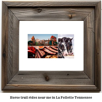 horse trail rides near me in La Follette, Tennessee